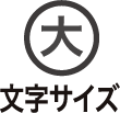 文字サイズ 大