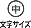 文字サイズ 中