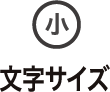 文字サイズ 小